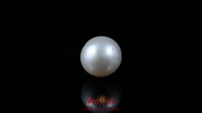 Pearl - 6.15 Carat