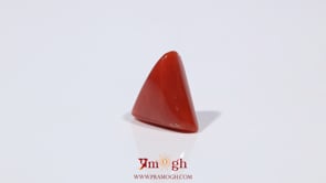 Red Coral - 3.65 Carat