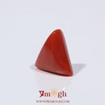 Red Coral - 3.65 Carat