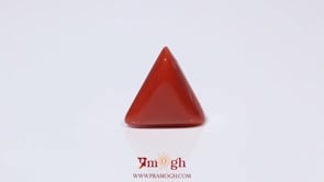 Red Coral - 3.65 Carat