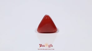 Red Coral - 3.47 Carat