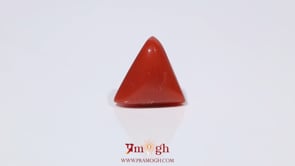 Red Coral - 3.6 Carat