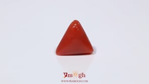 Red Coral - 3.68 Carat