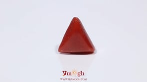 Red Coral - 4.09 Carat