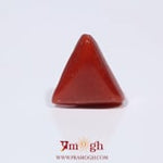 Red Coral - 4.09 Carat