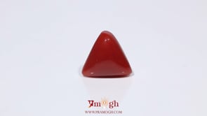 Red Coral - 3.75 Carat
