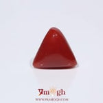 Red Coral - 3.75 Carat