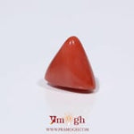 Red Coral - 3.82 Carat