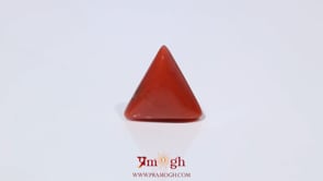 Red Coral - 3.6 Carat