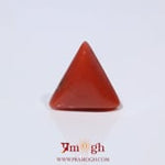Red Coral - 3.6 Carat