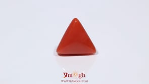 Red Coral - 3.8 Carat