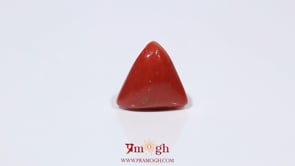 Red Coral - 3.6 Carat