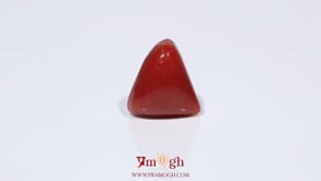 Red Coral - 3.95 Carat