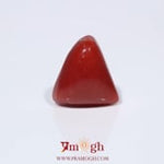 Red Coral - 3.95 Carat