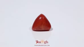 Red Coral - 3.52 Carat