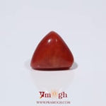 Red Coral - 3.52 Carat