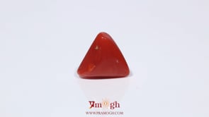 Red Coral - 3.6 Carat