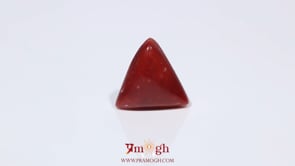 Red Coral - 3.6 Carat