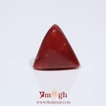 Red Coral - 3.6 Carat