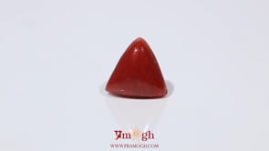 Red Coral - 3.45 Carat