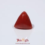 Red Coral - 3.45 Carat