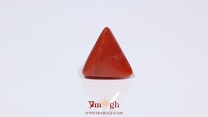 Red Coral - 3.72 Carat