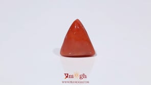 Red Coral - 3.62 Carat