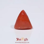 Red Coral - 3.62 Carat