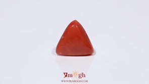 Red Coral - 3.9 Carat