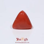 Red Coral - 3.9 Carat