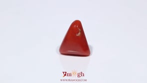 Red Coral - 3.95 Carat