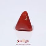 Red Coral - 3.95 Carat