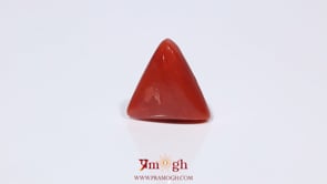 Red Coral - 3.88 Carat