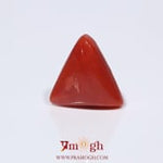 Red Coral - 3.88 Carat