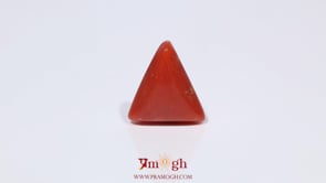 Red Coral - 3.95 Carat