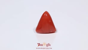 Red Coral - 3.5 Carat