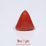 Red Coral - 3.5 Carat