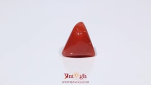 Red Coral - 3.76 Carat