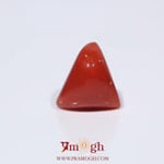 Red Coral - 3.76 Carat