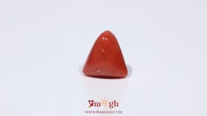 Red Coral - 3.6 Carat