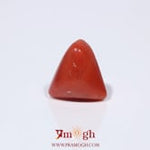 Red Coral - 3.6 Carat