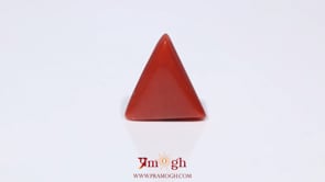 Red Coral - 3.85 Carat
