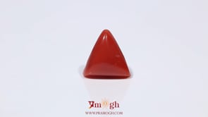 Red Coral - 3.63 Carat