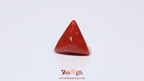 Red Coral - 3.6 Carat