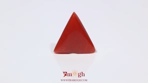 Red Coral - 3.65 Carat