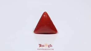 Red Coral - 3.6 Carat