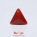 Red Coral - 3.6 Carat