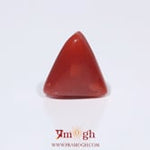 Red Coral - 3.8 Carat