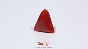 Red Coral - 3.9 Carat