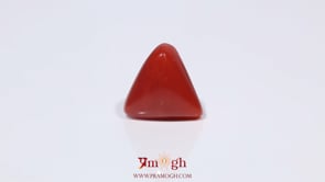 Red Coral - 3.9 Carat